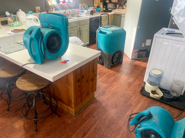 Best Mold removal after water damage  in Tarentum, PA