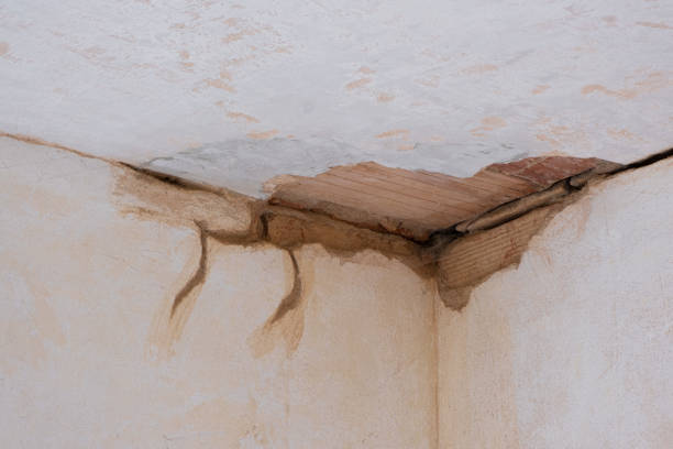 Best Water damage restoration experts  in Tarentum, PA