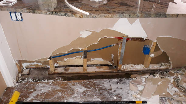 Best Water damage restoration near me  in Tarentum, PA