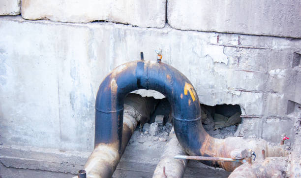 Best Carpet water damage restoration  in Tarentum, PA